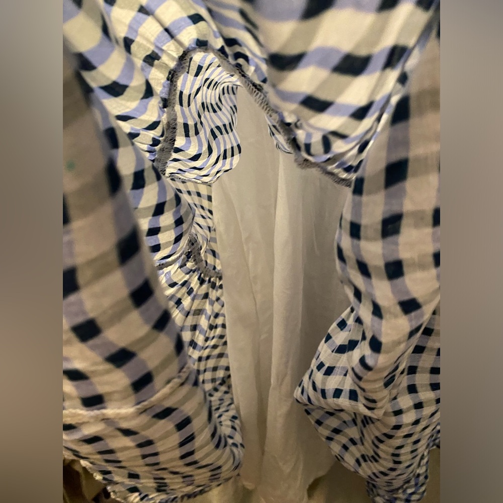 Anthropologie- Peregrine Blue and White Wavy Gingham Check Dress flutter sleeve - Picture 16 of 16